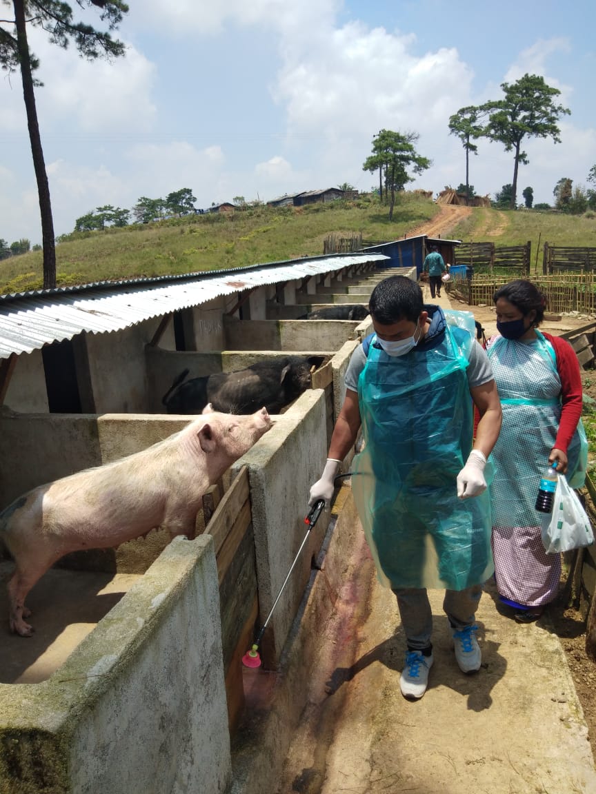 Success Stories (Photos): Animal Husbandry and Veterinary Department ...